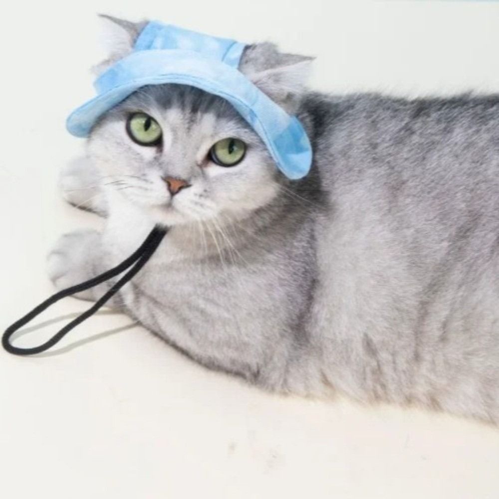 Beach Visor Cotton Cat Sun Hat - Bucket Hat Cotton 评论和价格